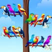 Bird Sort Color Puzzle Game